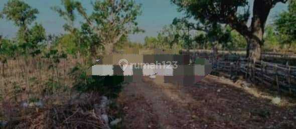 TOP URGENT LAND FOR SALE IN BATUNUNGGUL NUSA PENIDA KLUNGKUNG LOCATION 2