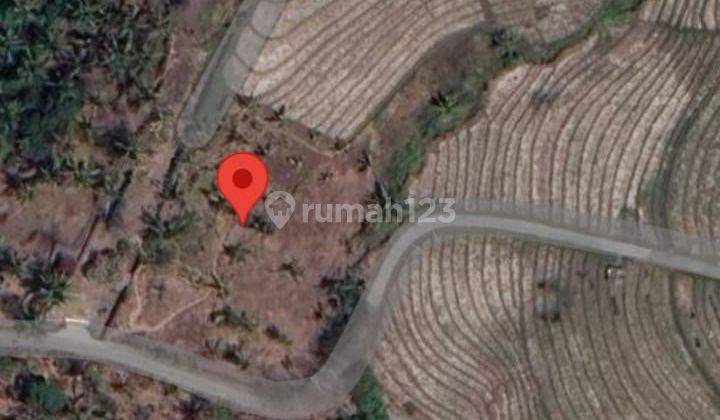 TOP URGENT LAND FOR SALE RICE VIEW ANTAP BAJERA LOCATION SELEMADEG TABANAN 1