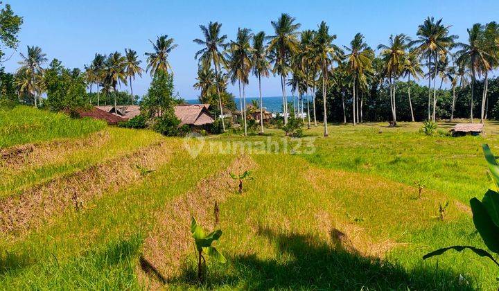 TOP URGENT DI JUAL TANAH VIEW LAUT & SAWAH LOKASI LALANGLINGGAH SELEMADEG TABANAN
 1