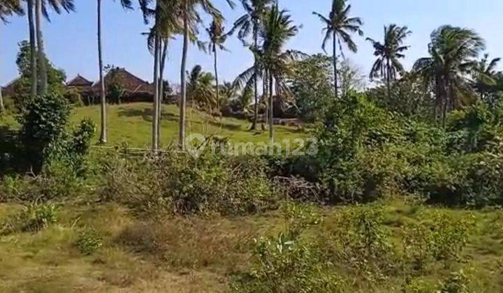 TOP URGENT LAND FOR SALE AT ANTAP SELEMADEG TABANAN LOCATION 1