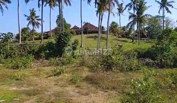 TOP URGENT LAND FOR SALE AT ANTAP SELEMADEG TABANAN LOCATION 2