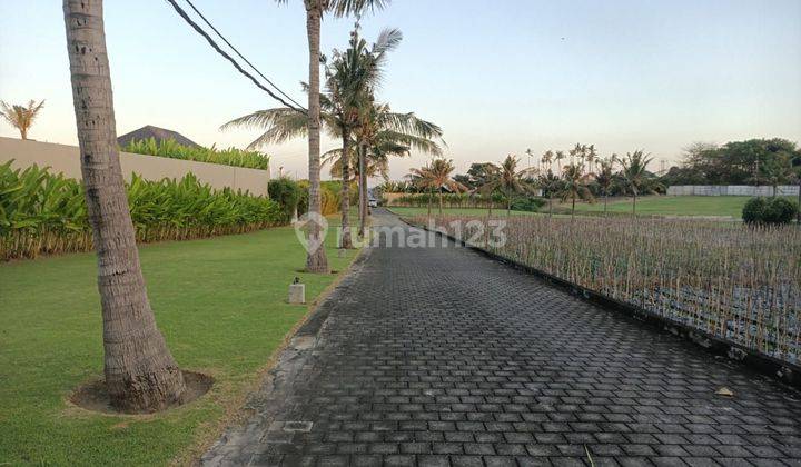 TOP URGENT LAND FOR SALE NEAR THE BEACH LOCATION KETEWEL GIANYAR
 2