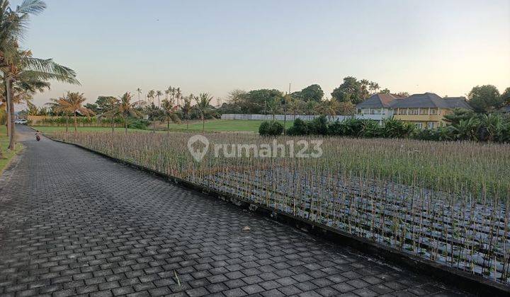 TOP URGENT LAND FOR SALE NEAR THE BEACH LOCATION KETEWEL GIANYAR
 1