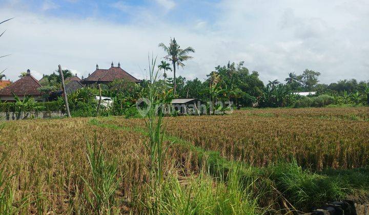 TOP URGENT DI JUAL TANAH DEKAT PANTAI VIEW SAWAH LOKASI KERAMAS GIANYAR 2