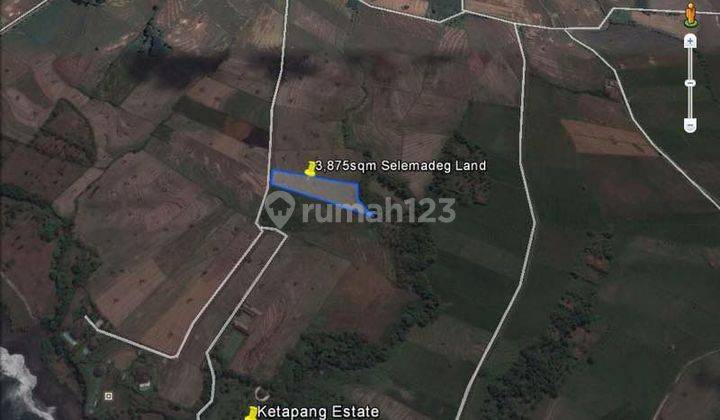 TOP URGENT LAND FOR SALE KLECUNG TEGALMENGKEB SELEMADEG TABANAN LOCATION
 1