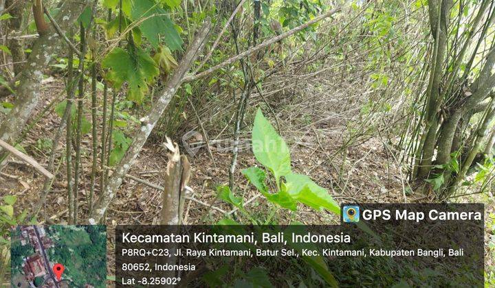 TOP URGENT DI JUAL TANAH VIEW GUNUNG LOKASI BATUR KINTAMANI BANGLI
 2