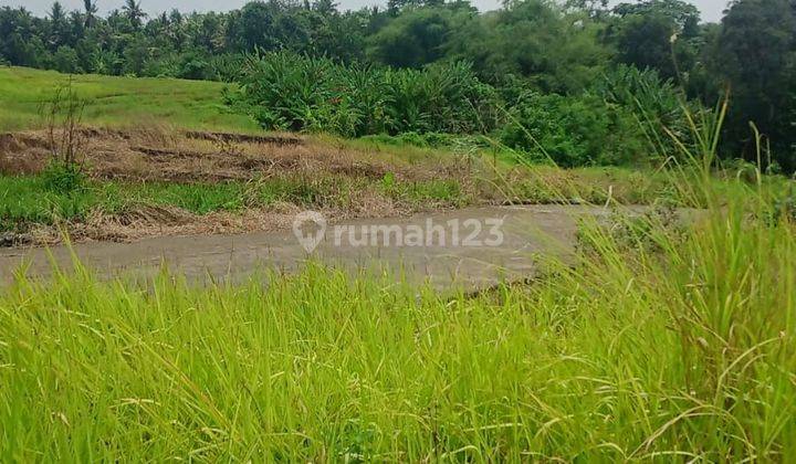 TOP URGENT LAND FOR SALE IN NYITDAH KEDIRI TABANAN LOCATION 1