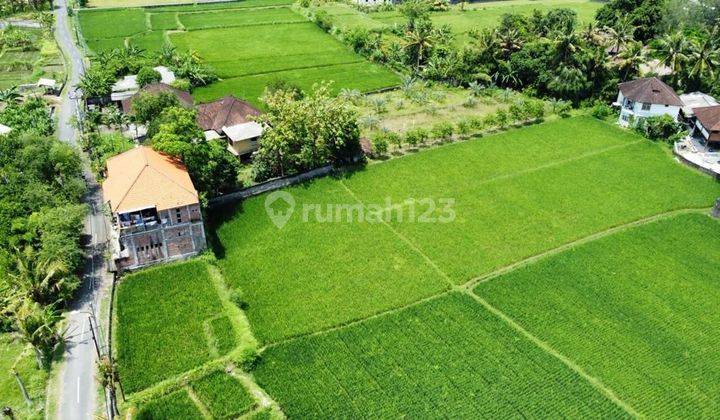 TOP URGENT DI JUAL TANAH DEKAT PANTAI VIEW SAWAH LOKASI CUCUKAN MEDAHAN GIANYAR
 2