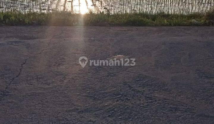 TOP URGENT DI JUAL TANAH DEKAT PANTAI LOKASI NYANYI BERABAN KEDIRI TABANAN 1