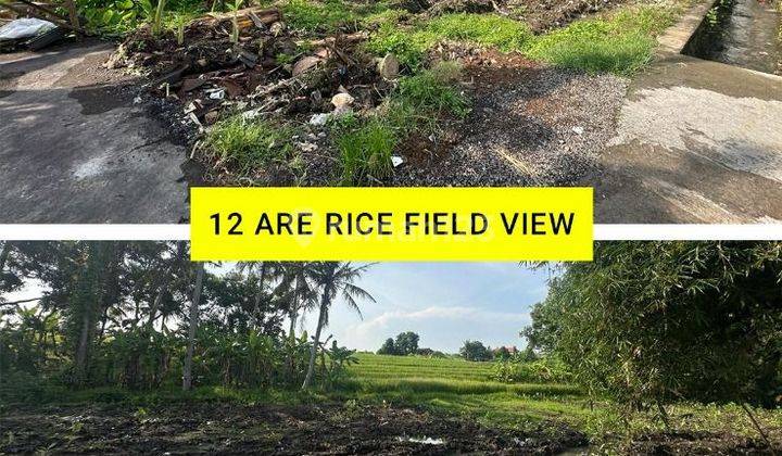 TOP URGENT DI JUAL TANAHVIEW SAWAH LOKASI TANAH LOT KEDIRI TABANAN 1