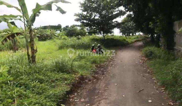 TOP URGENT DI JUAL TANAH LOKASI LEBIH GIANYAR 1