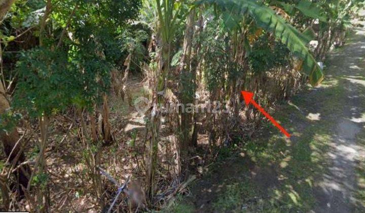 TOP URGENT 
DI JUAL TANAH LOKASI PURI GADING JIMBARAN KUTA SELATAN BADUNG 
 2