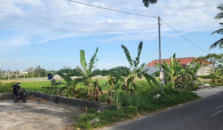 TOP DEAL FOR SALE LAND ON THE SIDE OF THE ROAD, SESEH BEACH LOCATION MUNGGU MENGWI BADUNG  2