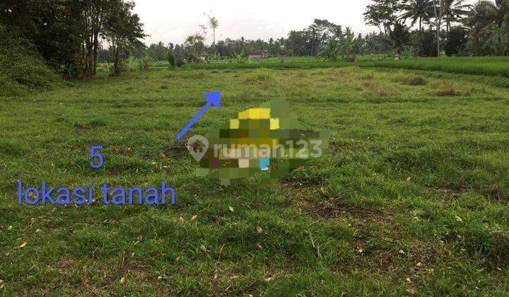 PASTI DEAL DI JUAL TANAH LOKASI PEJENG UBUD GIANYAR  1