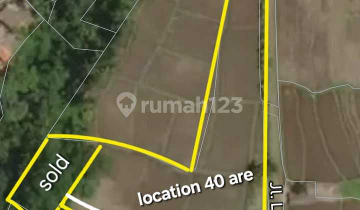 Sure Deal For Rent Land Location Tegallalang Ubud Gianyar Bali Sure Deal For Rent Land Location Tegallalang Ubud Gianyar Bali