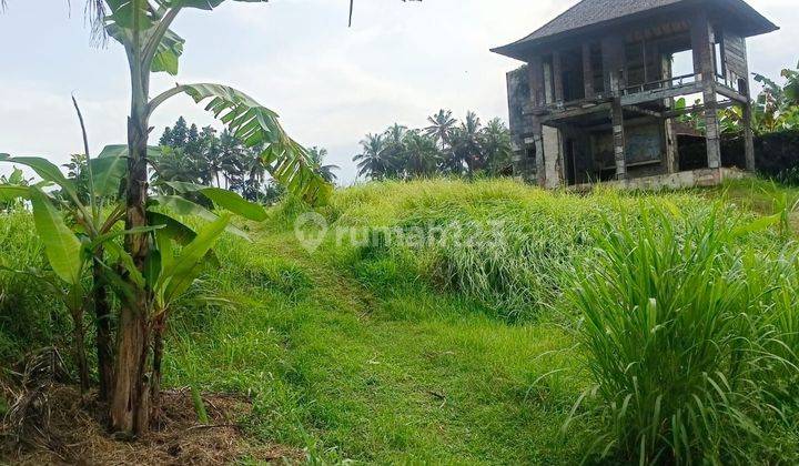 PASTI DEAL DI JUAL TANAH LOSS SUNGAI VIEW SAWAH LOKASI PEJENG KANGIN UBUD GIANYAR 
 2