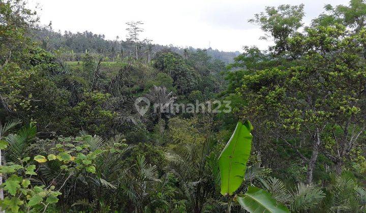 Zzzz SUSUSUSUPER DEAL DI JUAL TANAH VIEW SAWAH LOKASI BUAHAN PAYANGAN UBUD GIANYAR 1