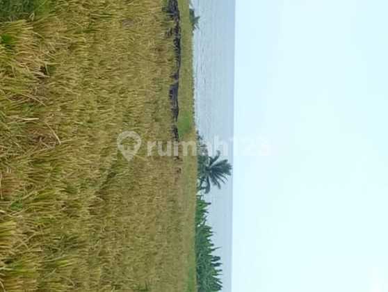 Must Close For Sale Land Loss Beach Sea View Location Sudimara Tabanan