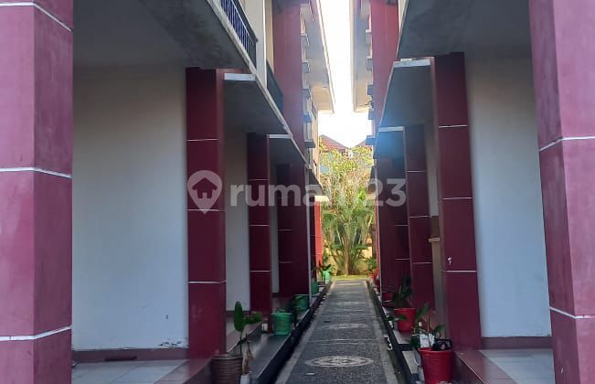 Pasti Deal Di Guesthouse Lokasi Sidakarya Denpasar Selatan Bali Pasti Deal Di Guesthouse Lokasi Sidakarya Denpasar Selatan Bali