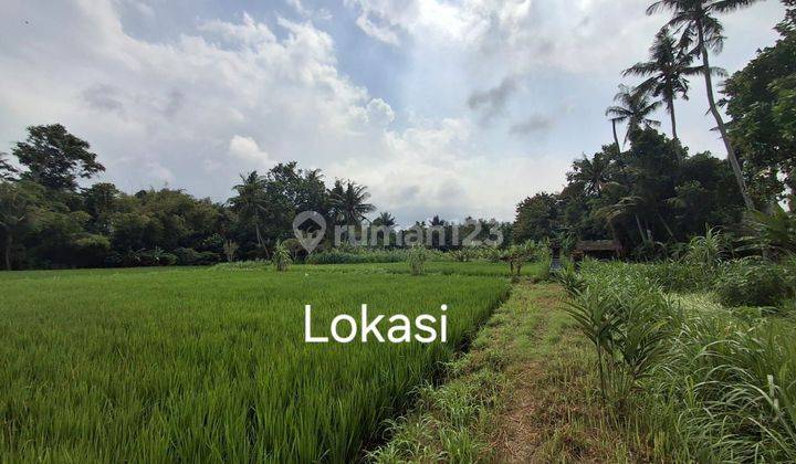 PASTI DEAL DI JUAL TANAH LOSS SUNGAI VIEW SAWAH PINGGIR JALAN LOKASI SABA BLAHBATUH GIANYAR 
 2