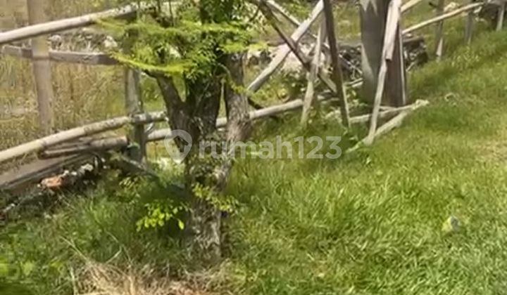 Pasti Deal di Sewakan Tanah Lokasi Tukad Badung Denpasar Selatan Bali Pasti Deal di Sewakan Tanah Lokasi Tukad Badung Denpasar Selatan Bali