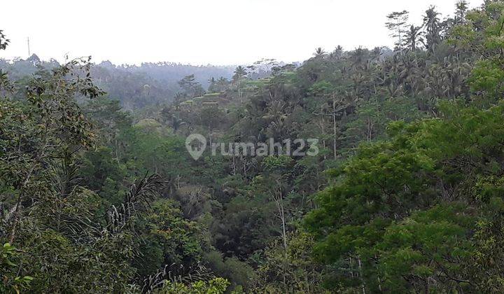 Zzzz SUSUSUSUPER DEAL DI JUAL TANAH VIEW SAWAH LOKASI BUAHAN PAYANGAN UBUD GIANYAR 2