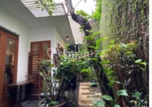 Beautiful Well-Maintained Green Commercial House in Pondok Indah, South Jakarta