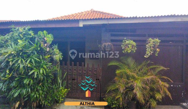 Rumah Di Bawah Harga Pasar Luas Dan Asri 1 Lantai Cipadu  1