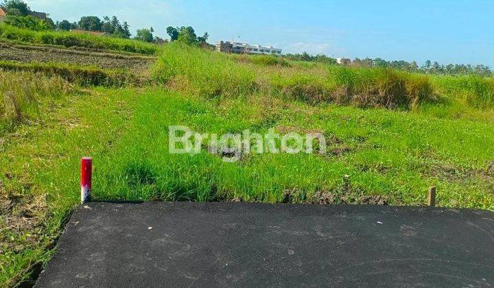 Tanah 496 M2 Pinkzone Pantai Kedungu 2 Menit Ke  Pantai 2