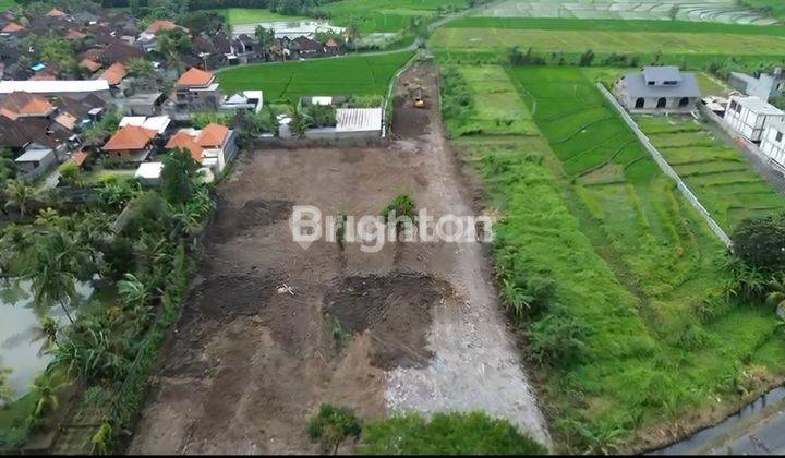 Tanah Kaba Kaba 55.15 Are View Rice Teras  Dekat Pantai Seseh 1