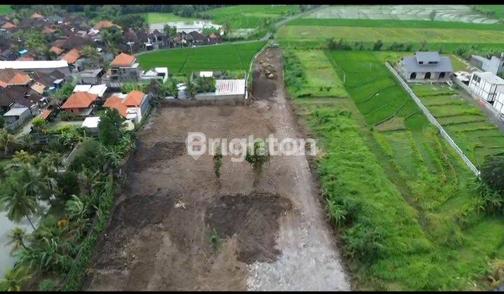 Tanah Kaba Kaba 55.15 Are View Rice Teras  Dekat Pantai Seseh 2