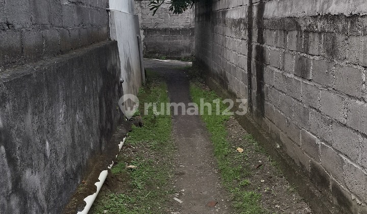 Tanah Sewa 3,5 Are Di Canggu Hanya 20 Juta Per Are Per Tahun