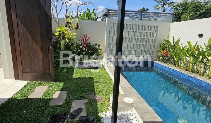 BRAND NEW VILLA KEDUNGU 3 BR JALAN KAKI KE PANTAI BRAND NEW VILLA KEDUNGU 3 BR JALAN KAKI KE PANTAI