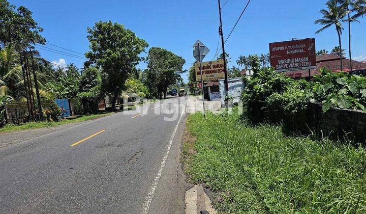 TANAH PINGGIR JALAN RAYA DENPASAR GILIMANUK LOS PANTAI 2280 M2 2