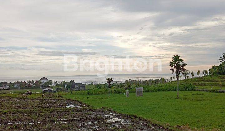 TANAH 20 ARE DI PANTAI MEDEWI JEMBRANA 2