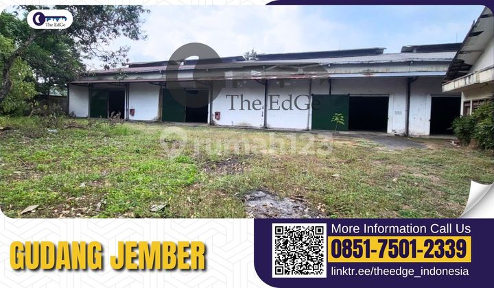 Jember City Warehouse Ready to Use - Suitable for Distribution & Operations