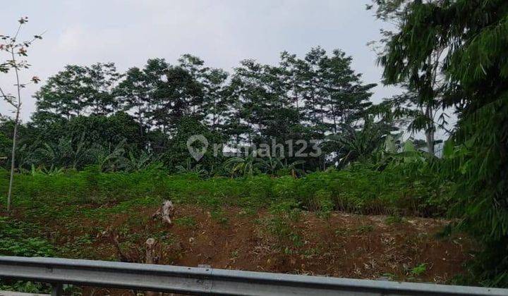 Tanah dijual dan di sewakan Pinggir Jalan Dekat Tol Tanah Baru Bogor 1