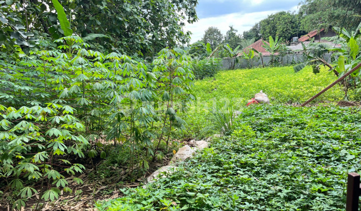 Lahan Cocok untuk Cluster di Kp Kaum Pandek Karadenan Cibinong Lahan Cocok untuk Cluster di Kp Kaum Pandek Karadenan Cibinong