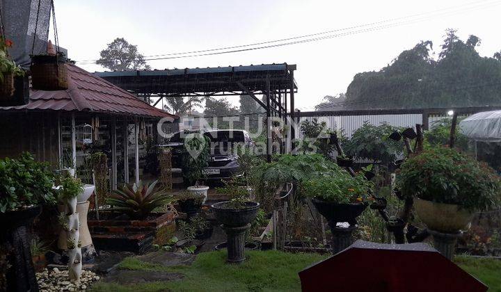 Rumah Villa Dan Kebun Luas Di Cijujung Bogor 2