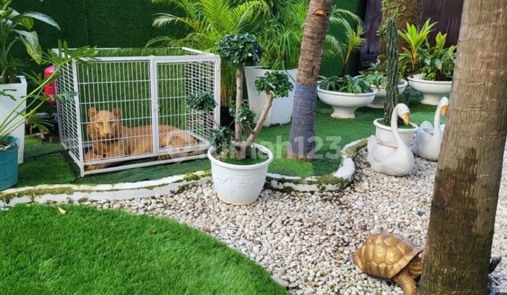 Rumah Mewah Ada Swimming Pool Di Menteng  2