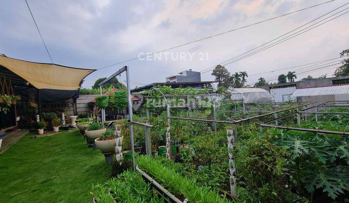 Rumah Villa Dan Kebun Luas Di Cijujung Bogor 1