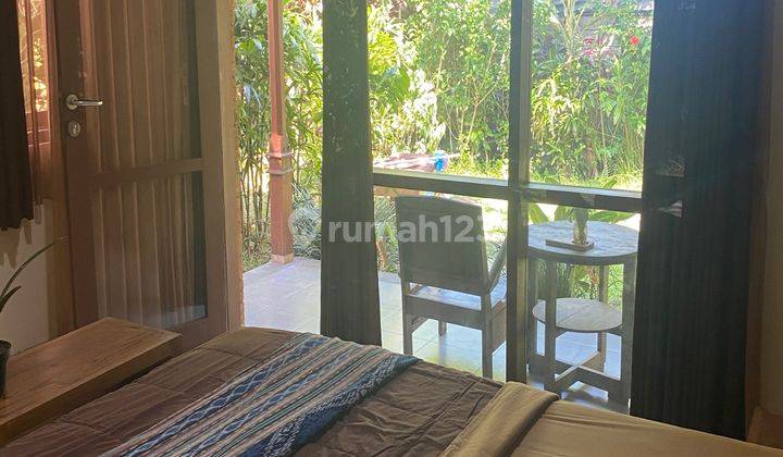 Room For Rent In Ubud Apartemen 1 Kamar Tidur 1