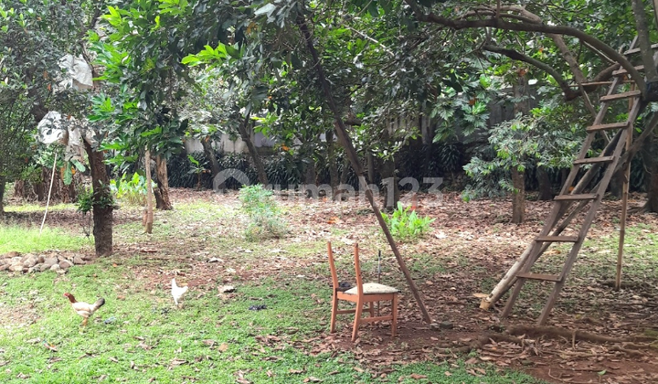 Di Jual Tanah Area Cirendeu Bali View