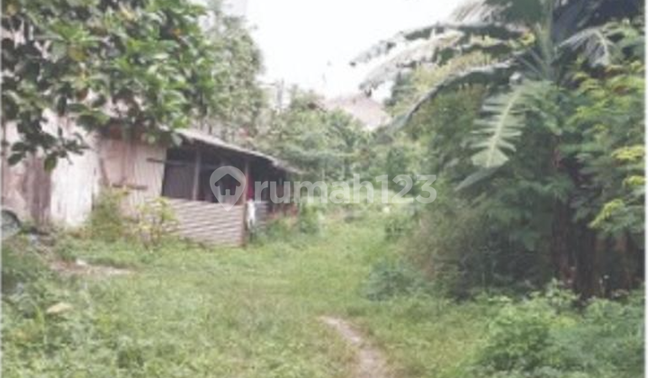 Land for Rent Warung Jati 7,000 m2 Coldwell Banker Land for Rent Warung Jati 7,000 m2 Coldwell Banker
