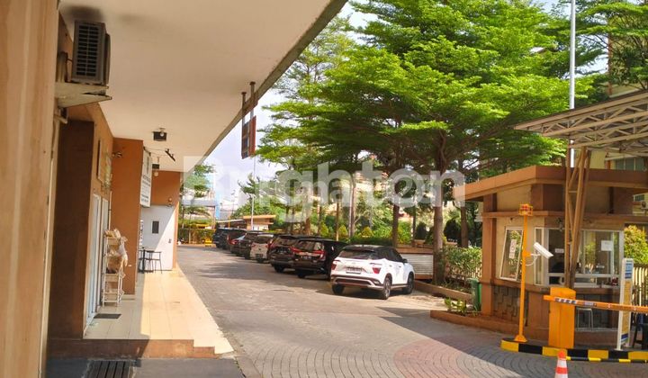 APARTEMENT DI GREEN PALM RESIDENCE 2