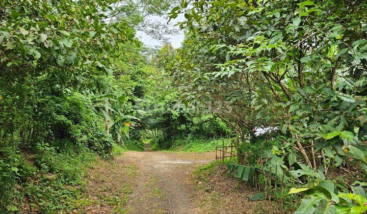 Tanah Kavling Shm Villa Kebun Pesantren Kota Pandeglang Banten 1