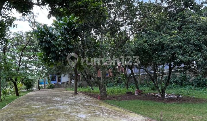 Investasi Tanah Kavling Kost Strategis SHM 1 Km Kampus Ipb Bogor