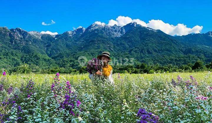 Kavling Tanah Murah Puncak Cipanas SHM Wisata Villa Pegunungan  1