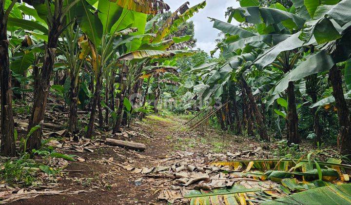 Tanah Kavling Shm Villa Kebun Pesantren Kota Pandeglang Banten 2