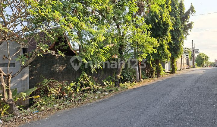Small Sized Land For Sale in Flood-Free Kerobokan Area Small Sized Land For Sale in Flood-Free Kerobokan Area